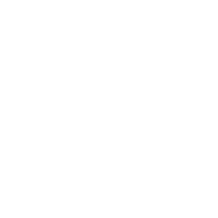BTS Store